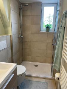 a bathroom with a shower with a toilet and a window at City Wohnung mit Gartenblick und Dachterrasse in Verden