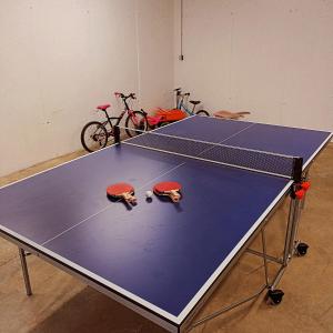 Stolný tenis v ubytovaní Apartmány u vlčích jam alebo v jeho okolí