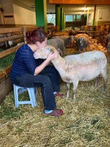 Foto dalla galleria di Nussbaumer am Irrsee a Tiefgraben