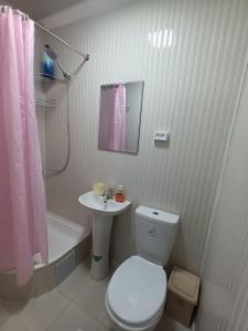 a bathroom with a toilet and a sink and a shower at Uzbegim Family Guest House in Bukhara