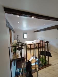 a room with two bunk beds and a cat in it at LE GRUON DU LAC in Braucourt