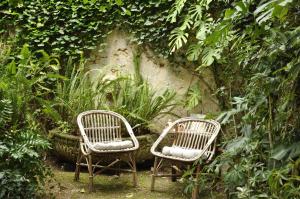 two chairs sitting in a garden with plants at Fangar Agroturismo in Campanet