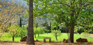 un parque con un banco entre dos árboles en Fangar Agroturismo, en Campanet