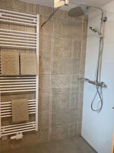 a bathroom with a shower with a glass door at West shore Appartement in Faak am See