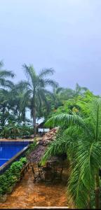 a resort with a pool and chairs and palm trees at Ocean view Home stay in Dar es Salaam