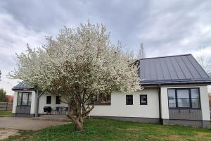 a white house with a tree in front of it at Jūras sāga in Pāvilosta
