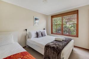 1 dormitorio con 2 camas y ventana en Malvern Mountain Retreat & Pet welcome, en Blackheath