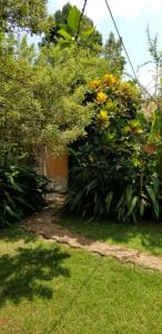a garden with yellow flowers and plants in a yard at Nilenian Holiday Villas in Jinja