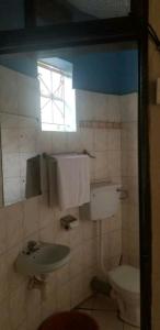 a bathroom with a toilet and a sink and a window at Nilenian Holiday Villas in Jinja