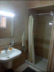 La salle de bains est pourvue d'une douche et d'un lavabo. dans l'établissement Paradise Days, à Sfax