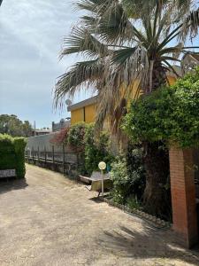 a palm tree and a bench next to a building at Villetta con Giardino in Salerno