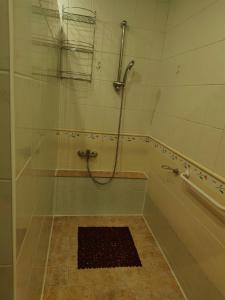 eine Duschkabine in einem Badezimmer mit einem Teppich in der Unterkunft Apartment in the centrum with free private parking in Levice