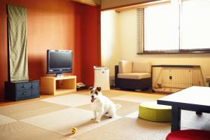 ein Hund steht in einem Wohnzimmer mit einem Spielzeug in der Unterkunft Grand Mercure Minamiboso Resort & Spa in Minamiboso