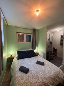 een slaapkamer met een bed met 2 kussens erop bij Le cosy Balat Biel RDC jardin spacieux in Grisolles