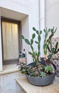 a potted plant sitting on a table next to a window at Living Bouganville in Trapani