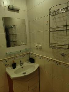 莱维采Fast Apartment in the centrum with FREE private parking的带水槽和镜子的白色浴室