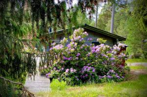 a house with a bunch of flowers in front of it at Island Beach House in Värmdö