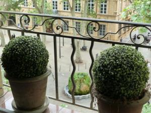 dos macetas sentadas en el alféizar de una ventana en Appartement Cours Mirabeau CrsMb, en Aix-en-Provence