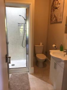 een badkamer met een douche, een toilet en een wastafel bij Sunny Bank Guest House in Hythe