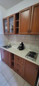 Kuchyň nebo kuchyňský kout v ubytování Bástya Apartmanház