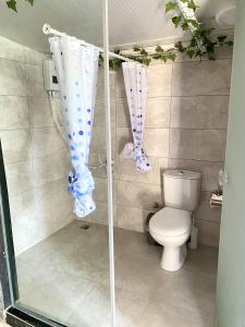 uma casa de banho com chuveiro, WC e cortinas em ZBB Stylish Villa & Bungalows em Alanya