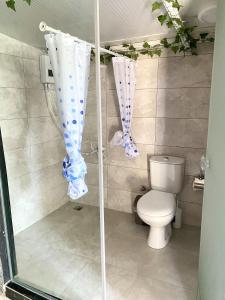een badkamer met een douche, een toilet en gordijnen bij ZBB Stylish Villa & Bungalows in Alanya