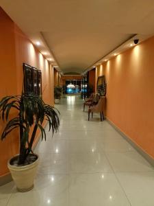 un couloir avec une usine de pot dans un bâtiment dans l'établissement Maisonette Hotels & Resorts, à Lahore