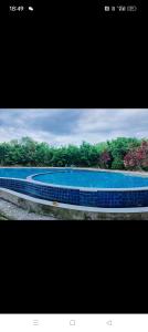 a large blue swimming pool with trees in the background at Idea Homestay 1 in Chemor