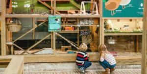 twee kinderen kijken in de etalage van een winkel bij The Piglets 3 in Yarmouth +17 foto's