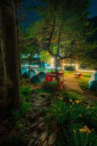 a group of tents in a park at night at RIVERFRONT CAMPS AND HIKES in Pahalgām