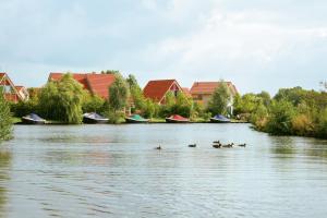 um grupo de patos a nadar num rio com casas em Summio Villapark Schildmeer em Steendam