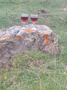 dos copas de vino sentadas sobre una roca en Gold Star en Kazbegi