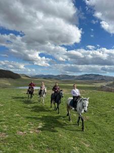 a group of people riding horses in a field at Brvnara Katun in Žabljak