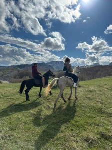 two people riding on horses in a field at Brvnara Katun in Žabljak