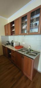 Kuchyň nebo kuchyňský kout v ubytování Bástya Apartmanház