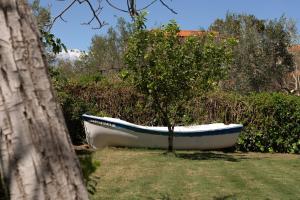 un barco sentado en el césped junto a un árbol en Perivoli Cottage, a Rural Bliss of Nature, By ThinkVilla, en Agios Dimitrios