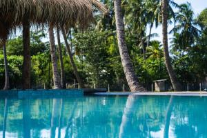 una piscina con palmeras en el fondo en Club Mango Resort, en Kalpitiya
