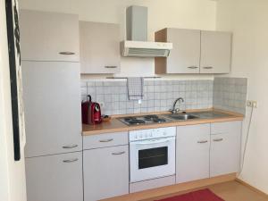Кухня або міні-кухня у Gösser BACHGASSLHOF -- Bed and Breakfast -- Apartments