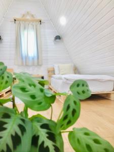 a room with a bed and a plant at Rural Retreat Transylvania in Gura Rîului