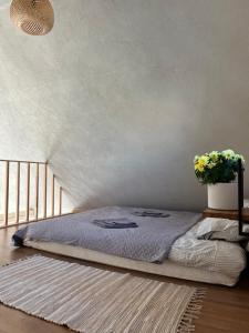 a bed in a bedroom with a plant on the floor at Holiday home Filipi in Ventspils