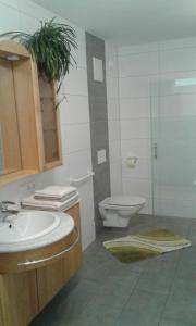 a bathroom with a sink and a toilet and a mirror at Ferienwohnug-Spitzenstein in Abfaltersbach