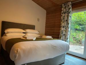 a bedroom with a bed with pillows and a window at Pantglas Hall Holiday Lodges and Leisure Club in Carmarthen
