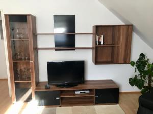 a living room with a tv and wooden shelves at Gösser BACHGASSLHOF -- Bed and Breakfast -- Apartments in Leoben