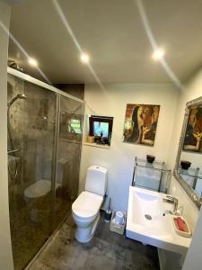 a bathroom with a shower and a toilet and a sink at Charmante Ruheoase am Meer in Lettland in Miķeļtornis