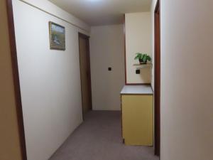 a hallway with a room with a counter and a plant at Modern Holiday Home in Cern Dul with Private Garden in Černý Dŭl