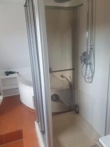 a shower with a glass door in a bathroom at Ferienwohnung Katrin in Mettlach