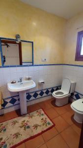 ein Badezimmer mit einem Waschbecken, einem WC und einem Spiegel in der Unterkunft Cortijo de la luna la casita in Taramay