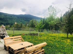 Naturlandschaft in der Nähe der Pension