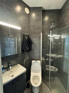 a bathroom with a toilet and a sink and a shower at Asunto keskustassa, Etu-Töölö in Helsinki