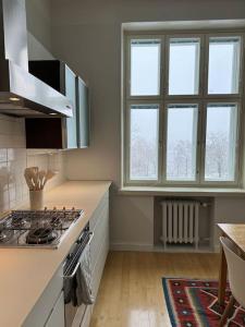 a kitchen with a stove and a counter top at Asunto keskustassa, Etu-Töölö in Helsinki